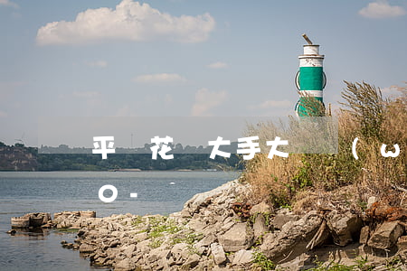 平時花錢大手大腳網(wǎng)貸欠了10-