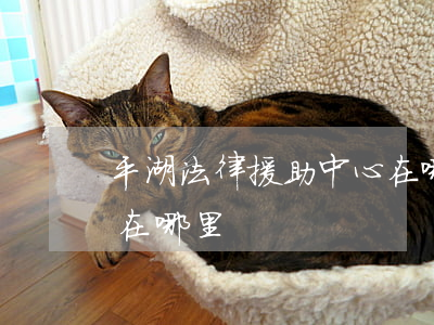 平湖法律援助中心在哪里(平湖法律援助中心在哪里)