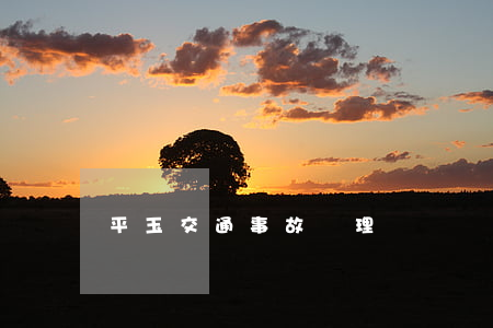平玉交通事故處理