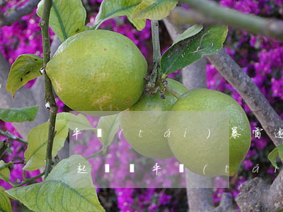 平臺(tái)暴雷逾期者會(huì)被起訴嗎 平臺(tái)暴雷逾期者會(huì)被起訴嗎