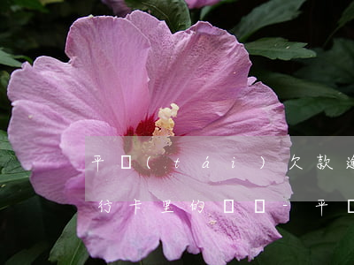 平臺(tái)欠款逾期會(huì)扣銀行卡里的錢嗎-平臺(tái)欠款逾期會(huì)扣銀行卡里的錢嗎安全嗎