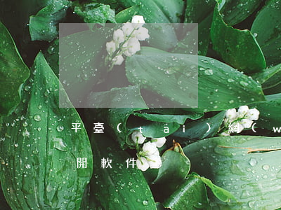 平臺(tái)網(wǎng)貸逾期打不開軟件