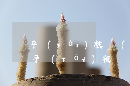 平臺(tái)被騙報(bào)警有用嗎(平臺(tái)被騙報(bào)警有用嗎)