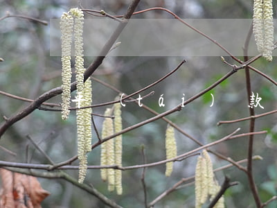 平臺(tái)貸款還不起咋辦
