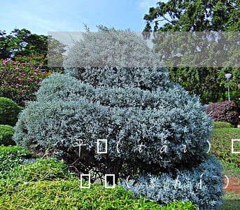 平臺(tái)貸款還不起怎么辦(小額貸款確實(shí)還不起了怎么辦)