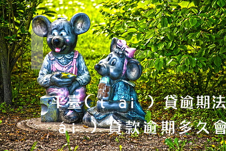 平臺(tái)貸逾期法院開庭-平臺(tái)貸款逾期多久會(huì)被起訴