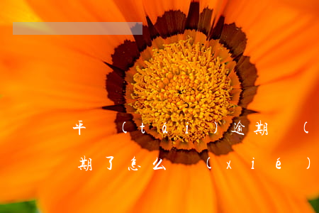 平臺(tái)逾期協(xié)商還款(逾期了怎么協(xié)商還款)