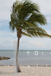 平臺(tái)逾期律師和其他人員會(huì)上門(mén)嗎-平臺(tái)逾期律師和其他人員會(huì)上門(mén)嗎知乎