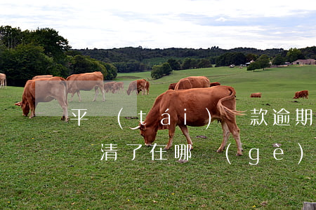 平臺(tái)還款逾期怎么辦(有逾期但是還清了在哪個(gè)平臺(tái)還可以借款)