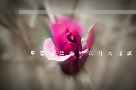 平臺借款逾期以什么起訴