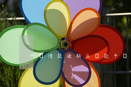 平臺借款逾期后還款(平臺借款逾期后還款)