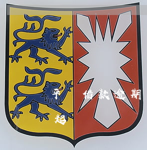 平臺借款逾期開庭用坐牢嗎（平臺逾期出借人起訴誰）