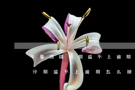 平臺借錢分期還不上逾期怎么辦-平臺借錢分期還不上逾期怎么辦呢