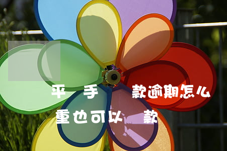 平臺手機貸款逾期怎么辦(什么平臺逾期很嚴重也可以貸款)