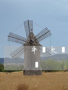平臺欠錢被起訴(被平臺起訴沒還錢能力怎么辦)
