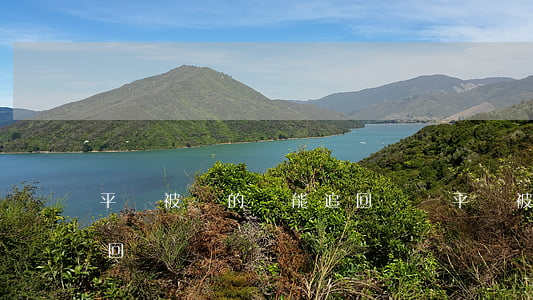 平臺被騙的錢能追回來嗎(平臺被騙的錢能追回來嗎)