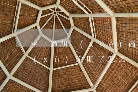 平臺逾期協(xié)商還款需要什么手續(xù)(逾期了怎么協(xié)商還款?)