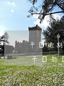 平臺逾期多了能貸款嗎(有很多逾期還有什么平臺能貸款)