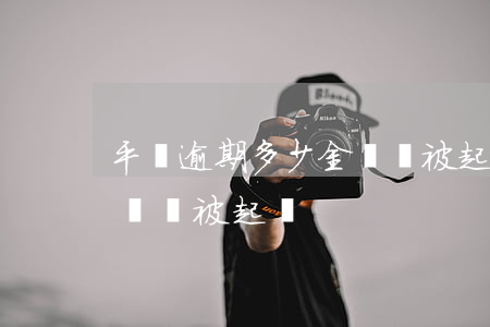 平臺逾期多少金額會被起訴(貸款逾期多少金額會被起訴)