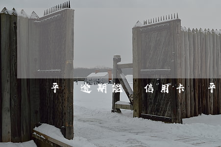 平臺逾期能辦信用卡嗎(平臺逾期能辦信用卡嗎)