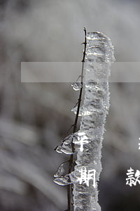 平臺還款時(shí)間多少算逾期(啥叫逾期還款)