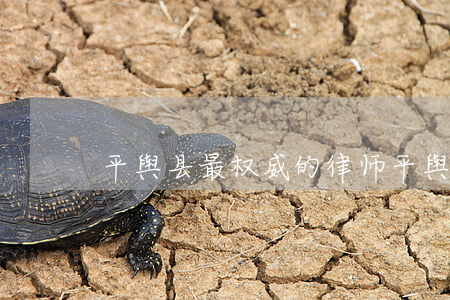 平舆县最权威的律师(平舆律师事务所)