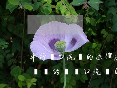 平行進口汽車的法律法規(guī)(關于國內的對進口汽車的法規(guī))