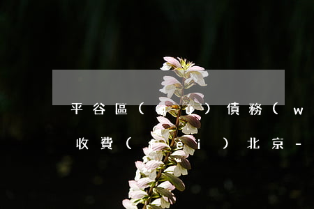 平谷區(qū)債務(wù)糾紛律師怎么收費(fèi)北京-平谷欠款律師