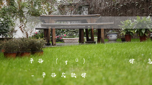 平谷區(qū)債務糾紛律師怎么收費北京-平谷欠款律師
