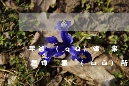 平谷區(qū)律師事務(wù)所排名(平邑律師事務(wù)所排名)
