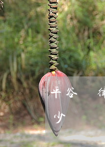 平谷請律師一般多少錢(請北京律師一般要多少錢)