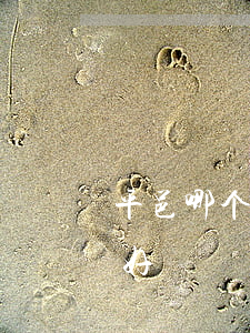 平邑哪个律师事务所好(平谷律师事务所哪家好)