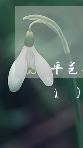 平邑律師事務(wù)所(平邑律師事務(wù)所哪家好)