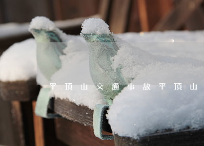 平頂山交通事故(平頂山交通事故新聞)