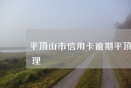 平頂山市信用卡逾期(平頂山市信用卡逾期處理)