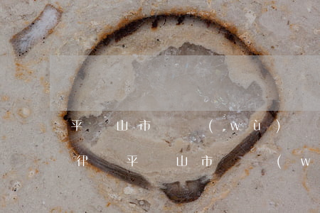 平頂山市債務(wù)轉(zhuǎn)讓律師(平頂山市債務(wù)轉(zhuǎn)讓律師電話)