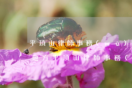 平頂山律師事務(wù)所在哪個(gè)地方(平頂山律師事務(wù)所咨詢電話)