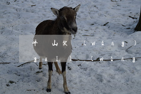 平頂山欠網(wǎng)貸被起訴-正規(guī)網(wǎng)貸被起訴到法院,會有什么后果?