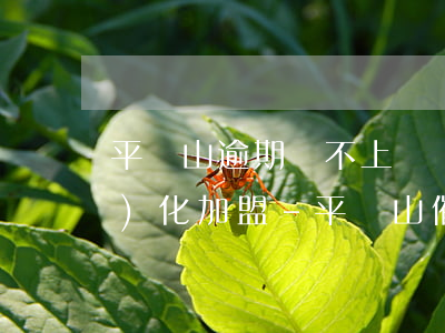 平頂山逾期還不上債務(wù)優(yōu)化加盟-平頂山催債公司