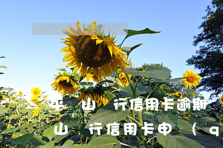 平頂山銀行信用卡逾期嚴(yán)重 平頂山銀行信用卡申請(qǐng)有什么條件