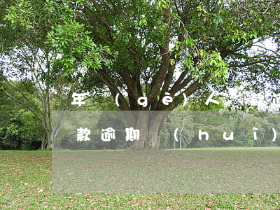 年個(gè)人貸款逾期(年個(gè)人貸款逾期會(huì)怎么樣)