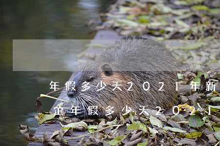 年假多少天2021年新規(guī)定(國企年假多少天2021年新規(guī)定)