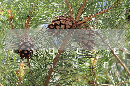 年假應(yīng)該怎么休?未休年假會(huì)被清零嗎？