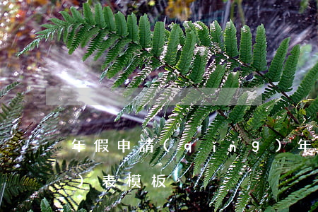 年假申請(qǐng)，年假申請(qǐng)表模板