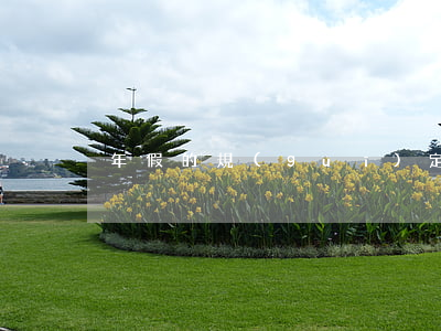 年假的規(guī)定