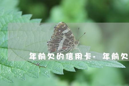 年前欠的信用卡-年前欠的信用卡怎么還