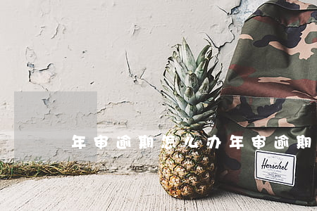 年审逾期怎么办(年审逾期怎么办啊)