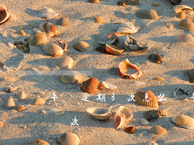 年審逾期3次怎么辦(年審連續(xù)逾期兩次)