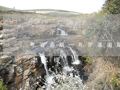 年審逾期一年(年審逾期一年了會(huì)怎么樣)
