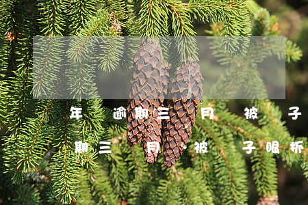 年審逾期三個月會被電子眼抓拍嗎-年審逾期三個月會被電子眼抓拍嗎安全嗎